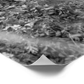 Kostenloser Sonnenschirm: 1922 Poster (Ecke)