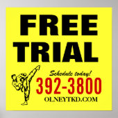 Kostenloses Karate-Poster Poster (Vorne)