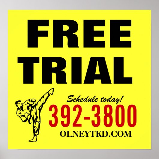 Kostenloses Karate-Poster Poster (Vorne)