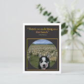 Kostenloses Mittagessen Postkarte (Stehend Vorderseite)