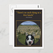 Kostenloses Mittagessen Postkarte (Vorne/Hinten)
