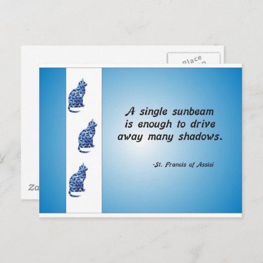 Kostensatz für Freiwillige Katze und Sonnenlicht Postkarte (Vorne/Hinten)