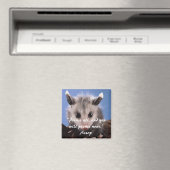 Kostensatz und kostbares Opossum-Magnet Magnet (In Situ (Geschirrspüler))