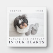 Kostenvoranschlag für Haustiere Einfaches Foto Fotoplatte (Vorderseite)