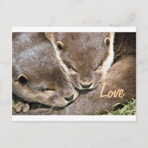 Kostenvoranschlag für Lieben - Otters Postkarte
