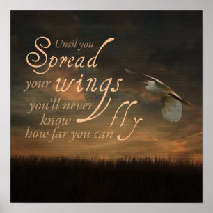 Kostenvoranschlag Poster