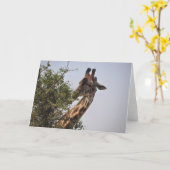 Köstlich Karte (Gelbe Blume)