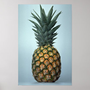Köstliche Ananas Poster