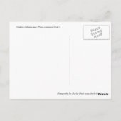 Köstliche Birne Postkarte (Rückseite)