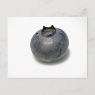 Köstliche Blaubeere Postkarte