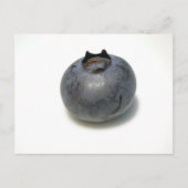 Köstliche Blaubeere Postkarte (Vorderseite)