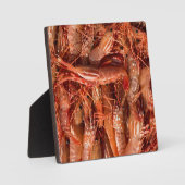 Köstliche Garnelen Fotoplatte (Vorderseite)