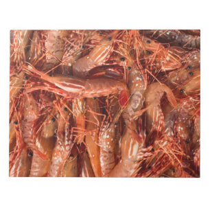 Köstliche Garnelen Notizblock