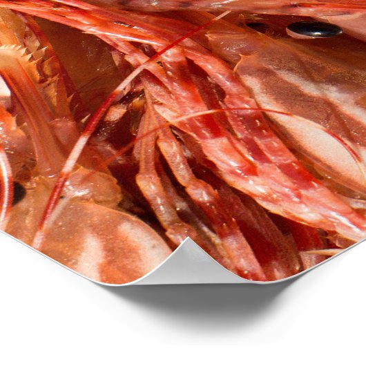 Köstliche Garnelen Poster (Ecke)