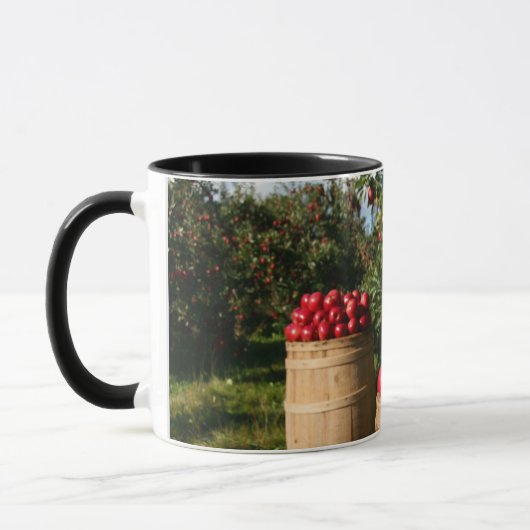 Köstliche, gesunde Red Apple Harvest Tasse (Links)