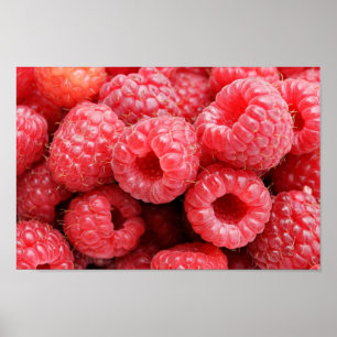 Köstliche Himbeeren Poster