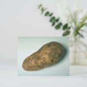 Köstliche Kartoffel Postkarte (Stehend Vorderseite)