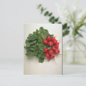 Köstliche Rettiche Postkarte (Stehend Vorderseite)