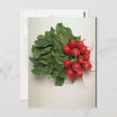 Köstliche Rettiche Postkarte (Vorne/Hinten)