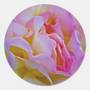 Köstliche Rose und Bedeutung Runder Aufkleber
