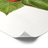 Köstliche rote Kirschen Fruchtfarben Malerei Poster (Ecke)