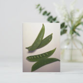 Köstliche Schneeerbsen Postkarte (Stehend Vorderseite)