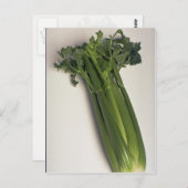Köstliche Sellerstiel Postkarte (Vorne/Hinten)