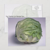 Köstlicher Eisbergsalat Postkarte (Vorne/Hinten)