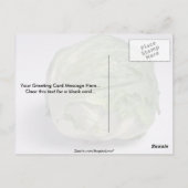 Köstlicher Eisbergsalat Postkarte (Rückseite)