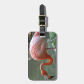 Köstlicher Flamingo Gepäckanhänger (Vorderseite vertikal)