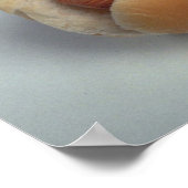 Köstlicher Hot Dog Poster (Ecke)