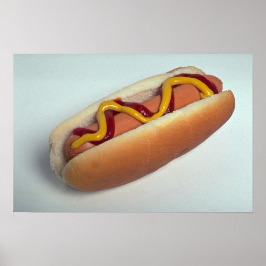 Köstlicher Hot Dog Poster (Vorne)