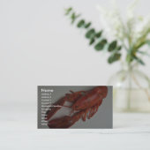 Köstlicher Hummer Visitenkarte (Stehend Vorderseite)