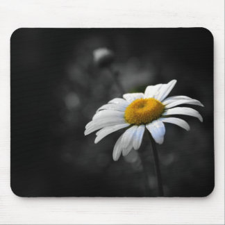 Köstliches Gänseblümchen Mousepad