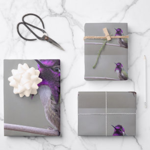 Kostolanskis Kolibri Geschenkpapier Set