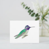 Kostolanskis Kolibri Postkarte (Stehend Vorderseite)