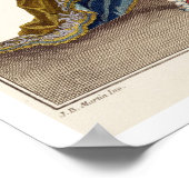 Kostüm für Apollo in der Oper 'Phaethon', Grav Poster (Ecke)