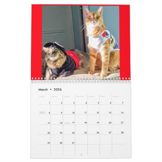 Kostümierter Kalender der Katzen-2019 (Mär 2026)