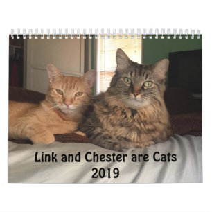 Kostümierter Kalender der Katzen-2019