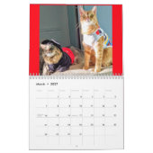 Kostümierter Kalender der Katzen-2019 (Mär 2027)