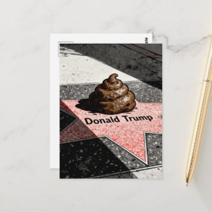 Kot auf einem Stern Postkarte
