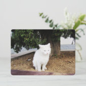 Kotzende Katze Feiertagskarte (Stehend Vorderseite)