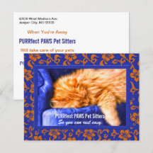 Kouch Kitty Custom Pet Sitter Werbung Postca