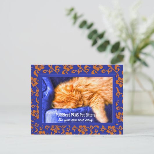 Kouch Kitty Custom Pet Sitter Werbung Postca Postkarte (Stehend Vorderseite)