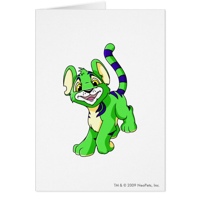 Kougra Grün (Vorne)