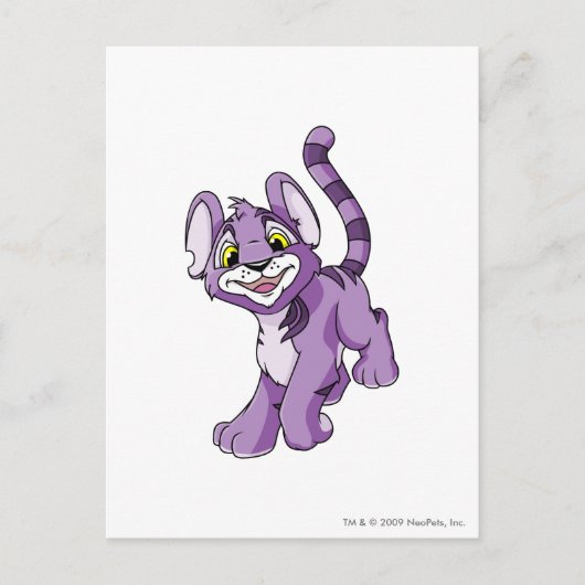 Kougra Lila Postkarte (Vorderseite)