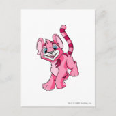 Kougra Pink Postkarte (Vorderseite)