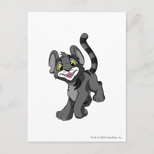 Kougra Shadow Postkarte (Vorderseite)