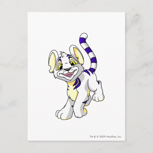 Kougra White Postkarte (Vorderseite)