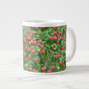 Kousa Dogwood Berries Jumbo-Tasse